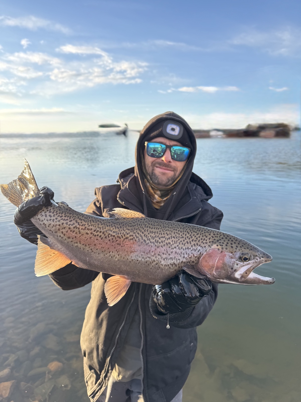 Colorado trout 66