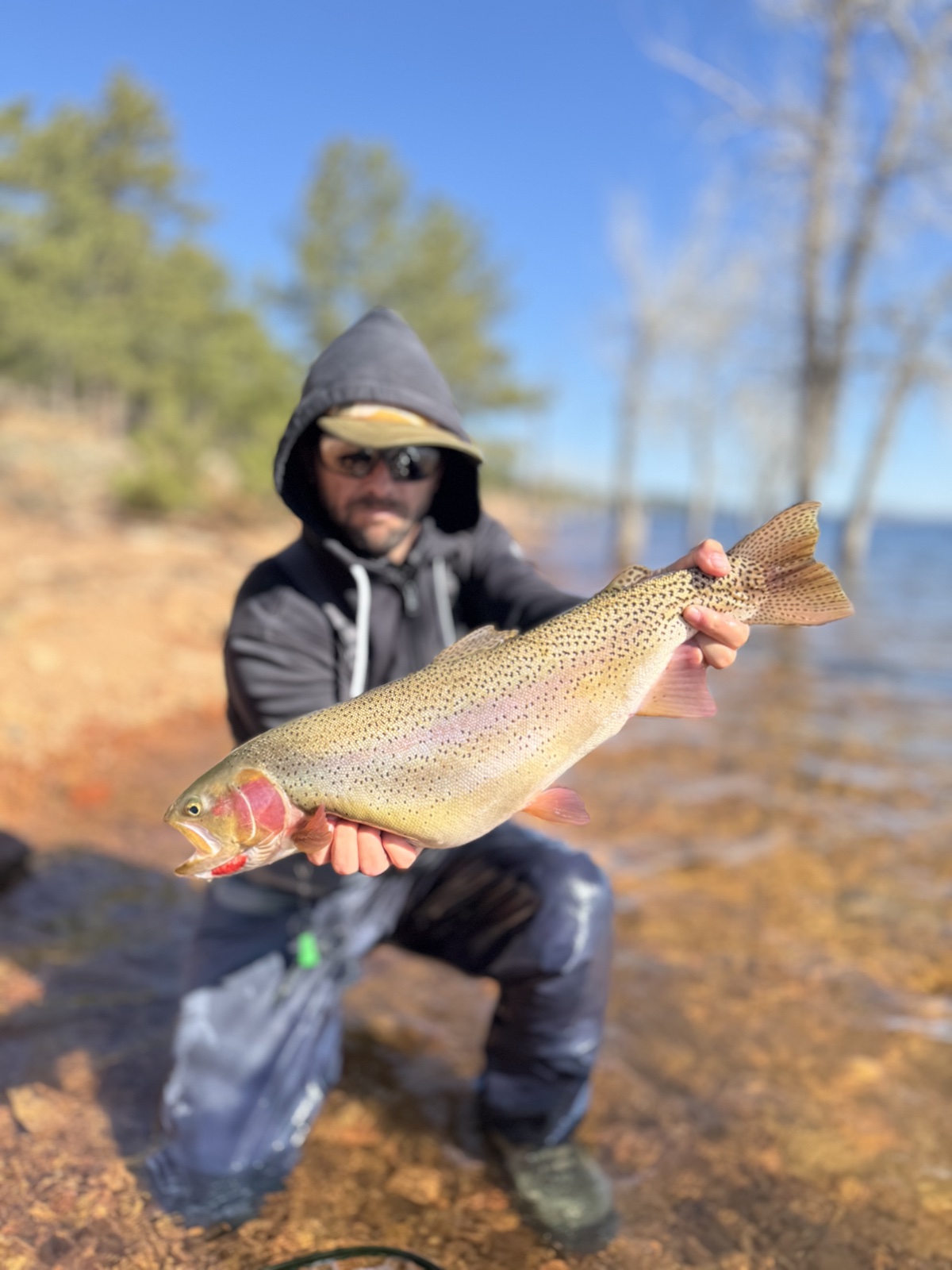 Colorado trout 68