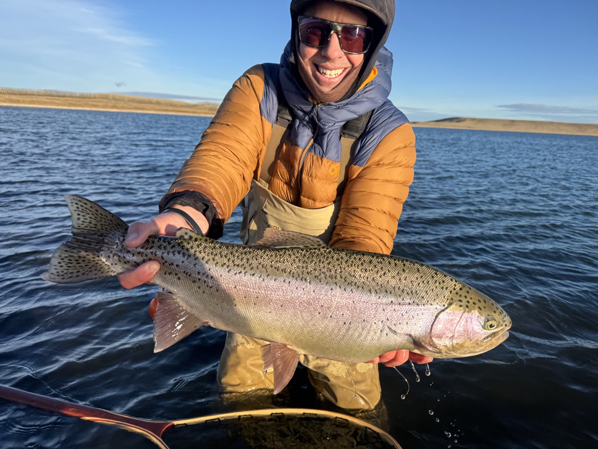 Colorado trout 7