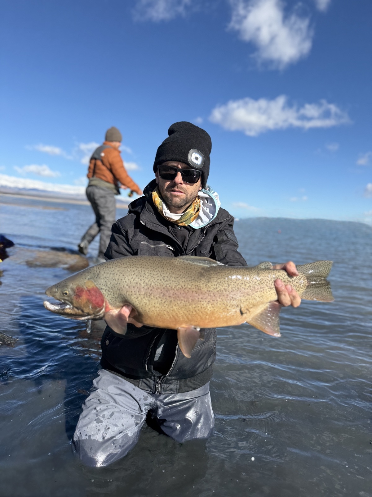 Colorado trout 69