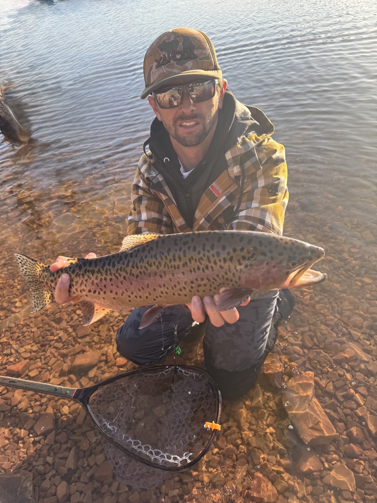 Colorado trout 71
