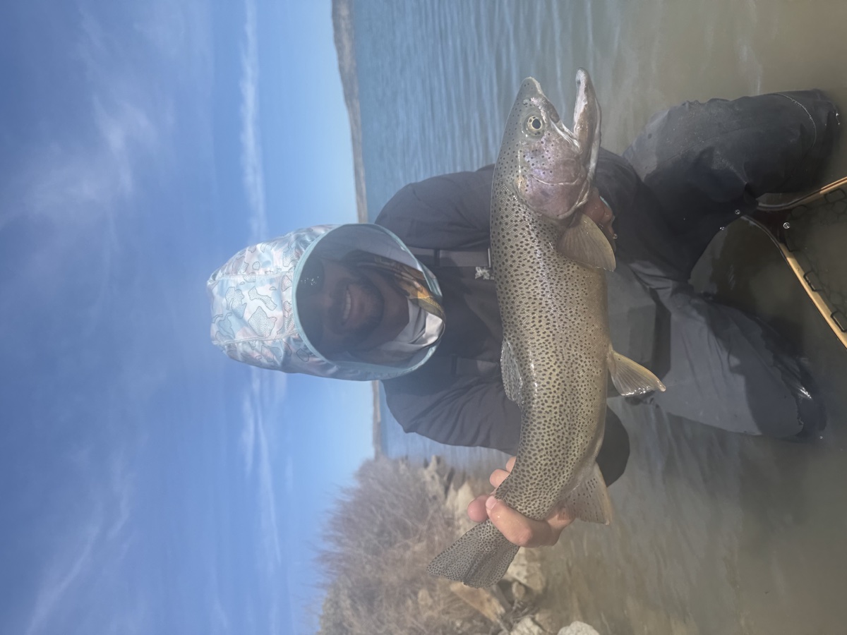 Colorado trout 74