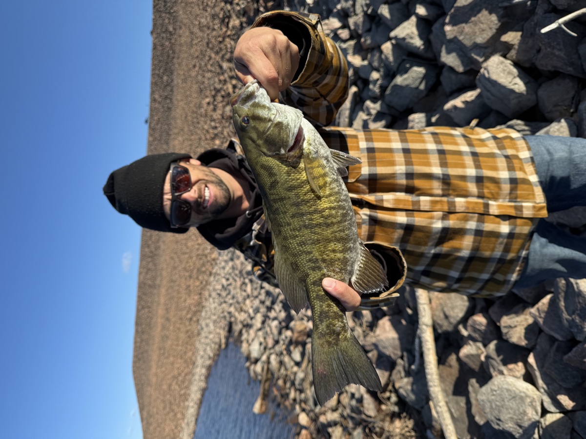 Colorado trout 77