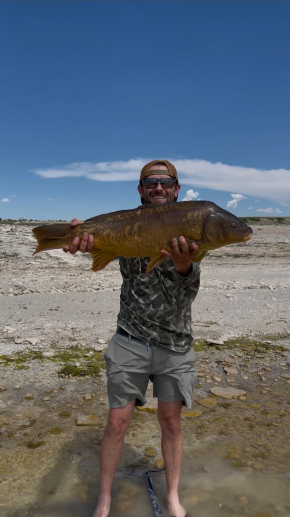 Colorado trout 80