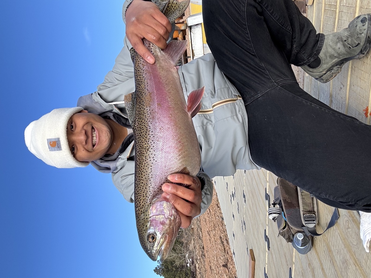 Colorado trout 81