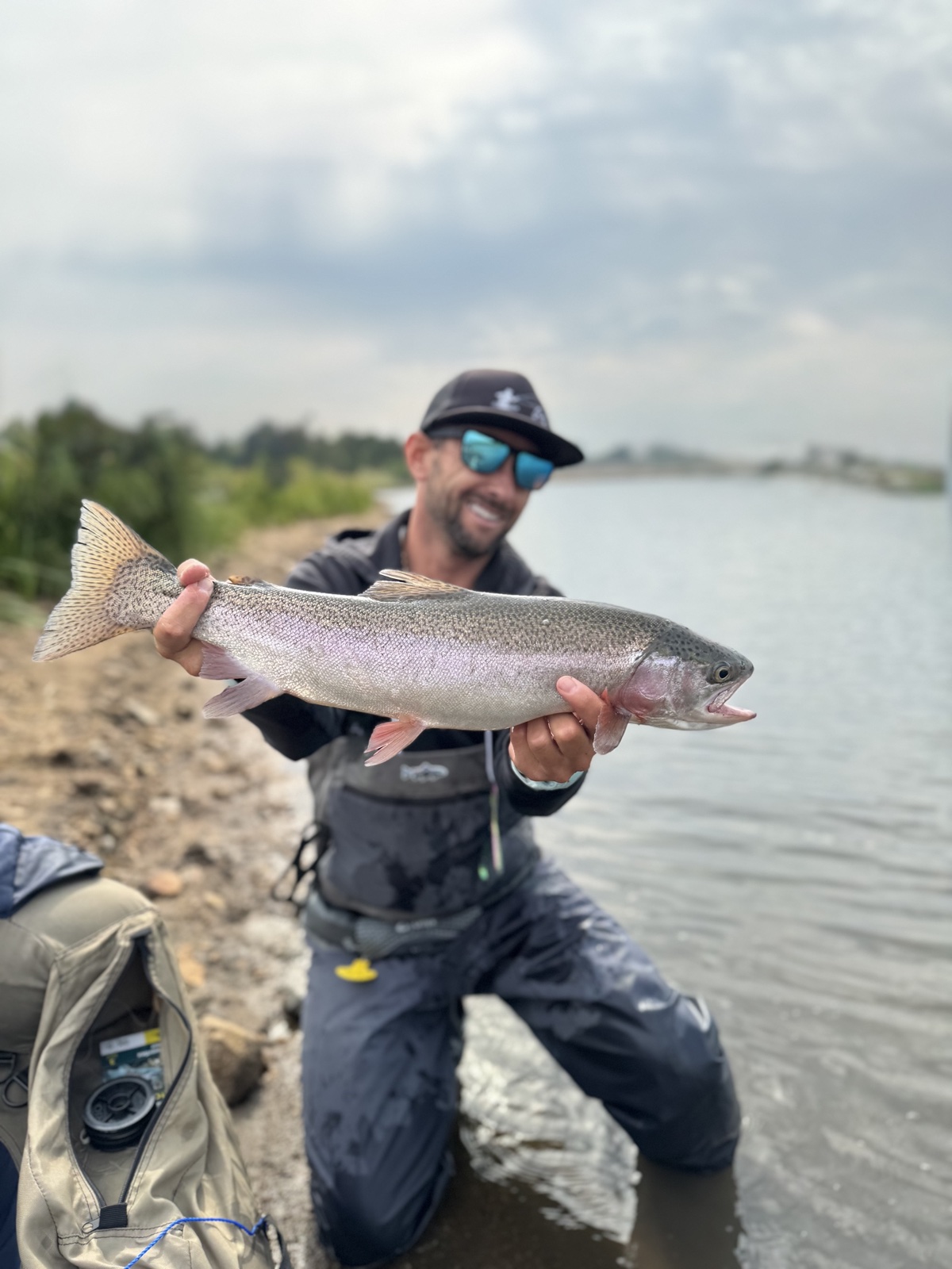Colorado trout 82