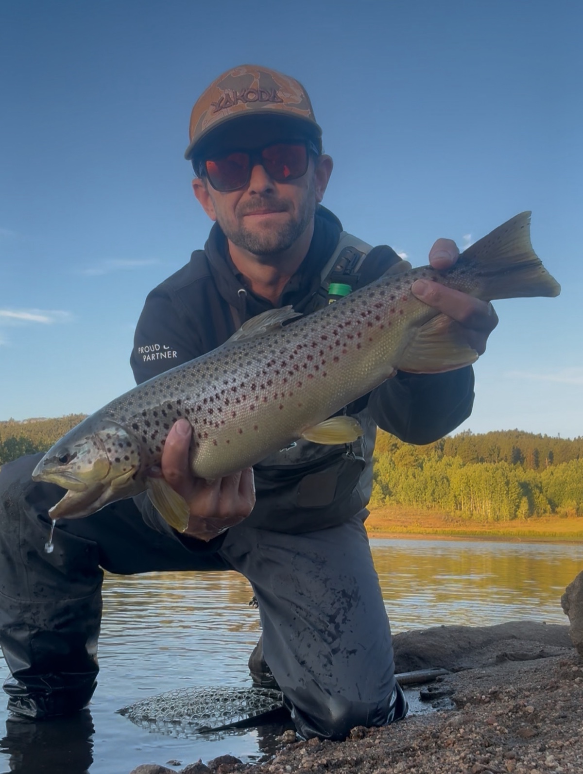 Colorado trout 86