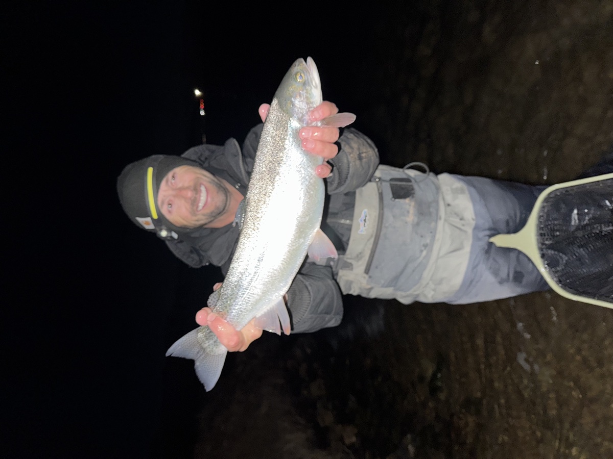Colorado trout 87