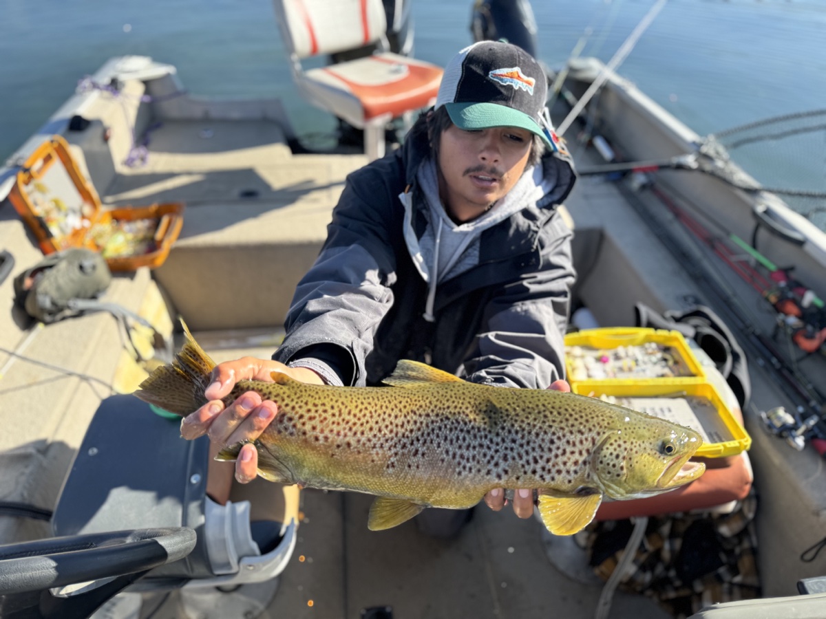 Colorado trout 89