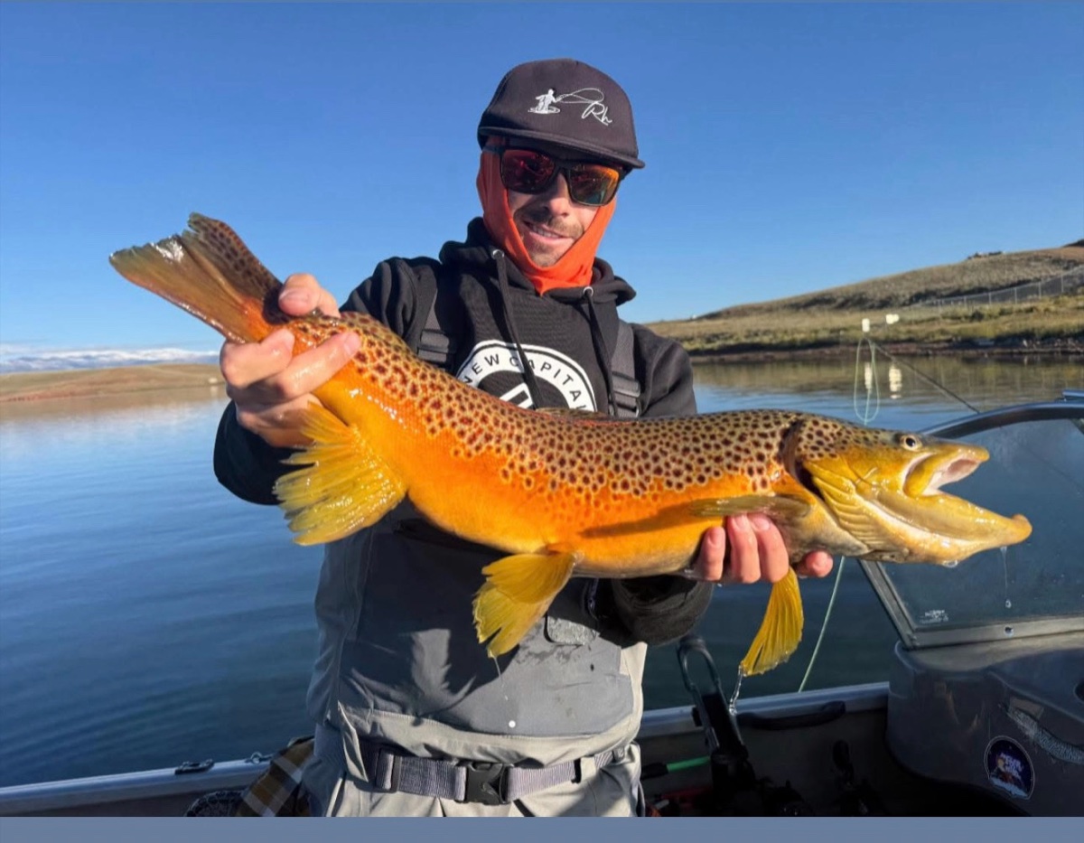 Colorado trout 90