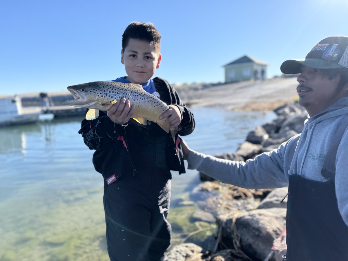 Colorado trout 91