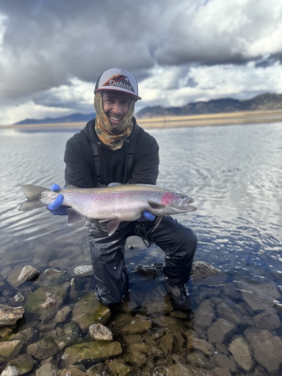 Colorado trout 96