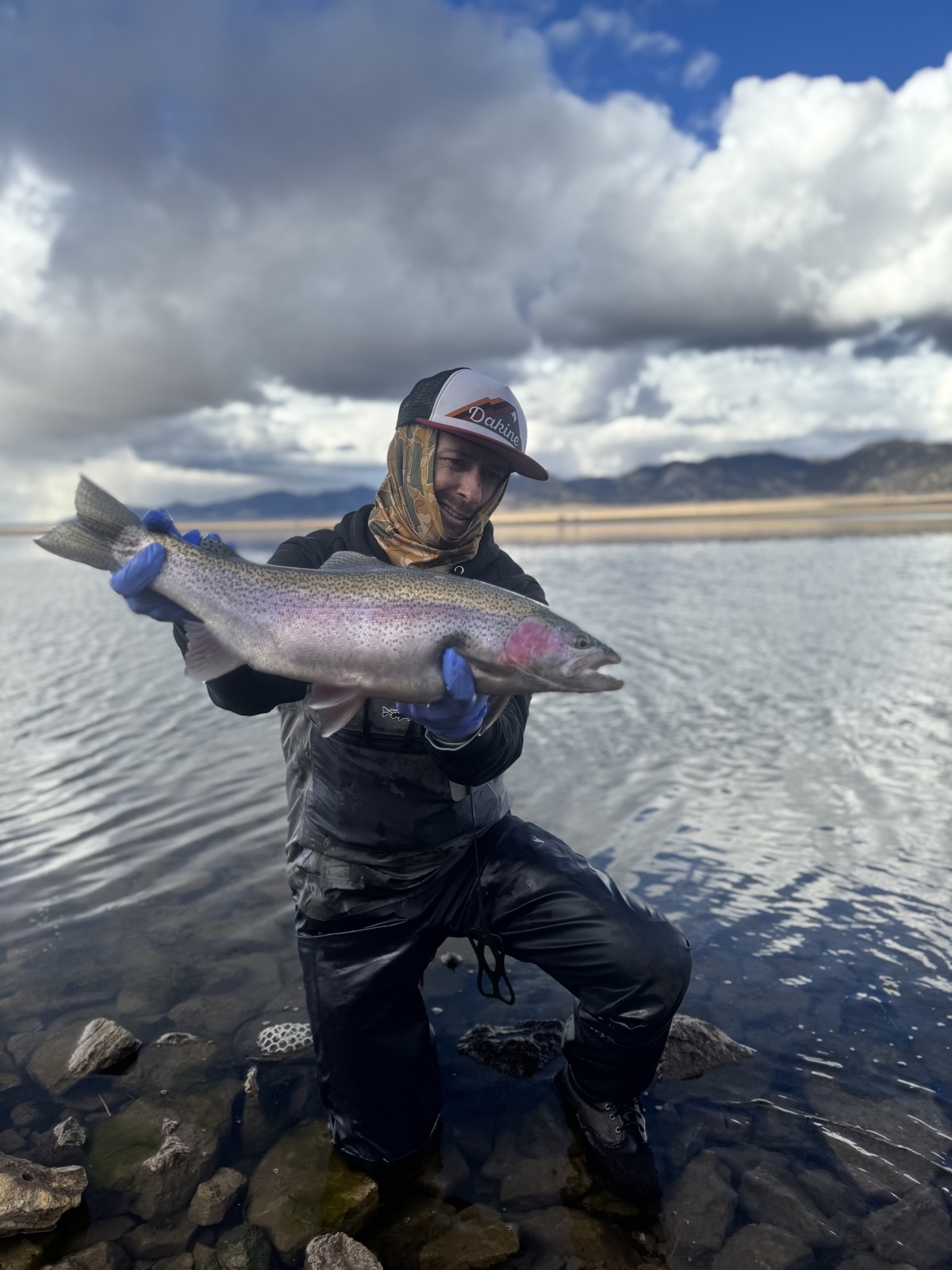 Colorado trout 97
