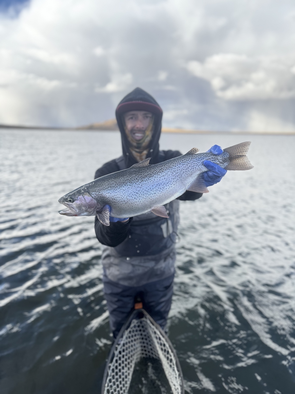 Colorado trout 98